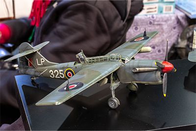 Scale Model